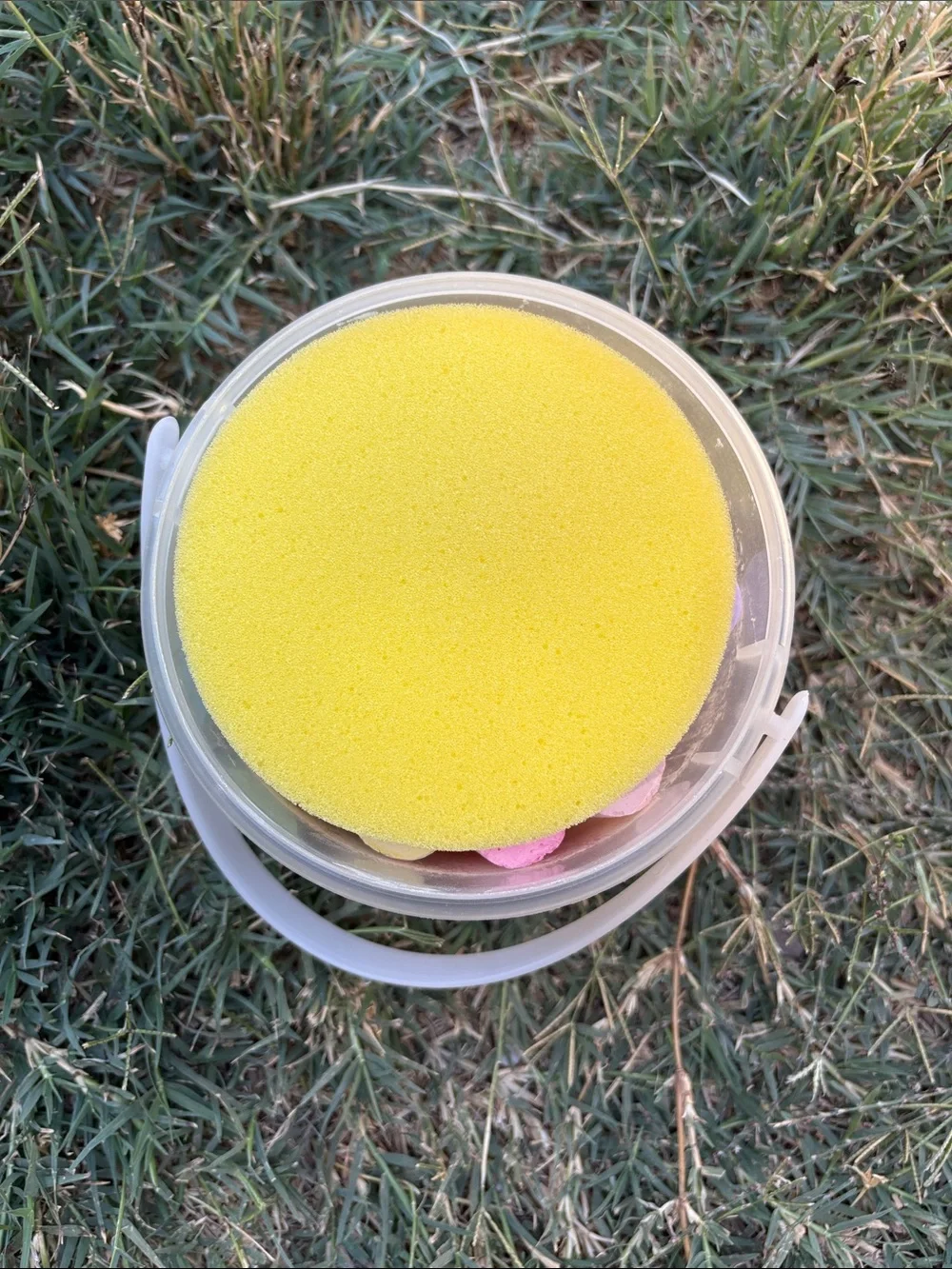 Jumbo Sidewalk Chalk 20-Pack -
